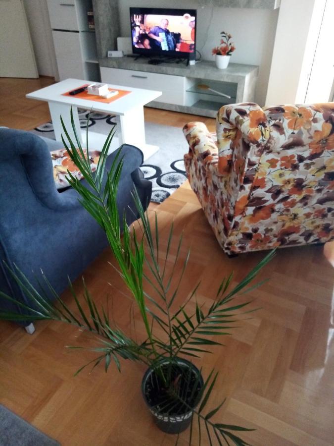 Apartman Maca Пирот Екстериор снимка