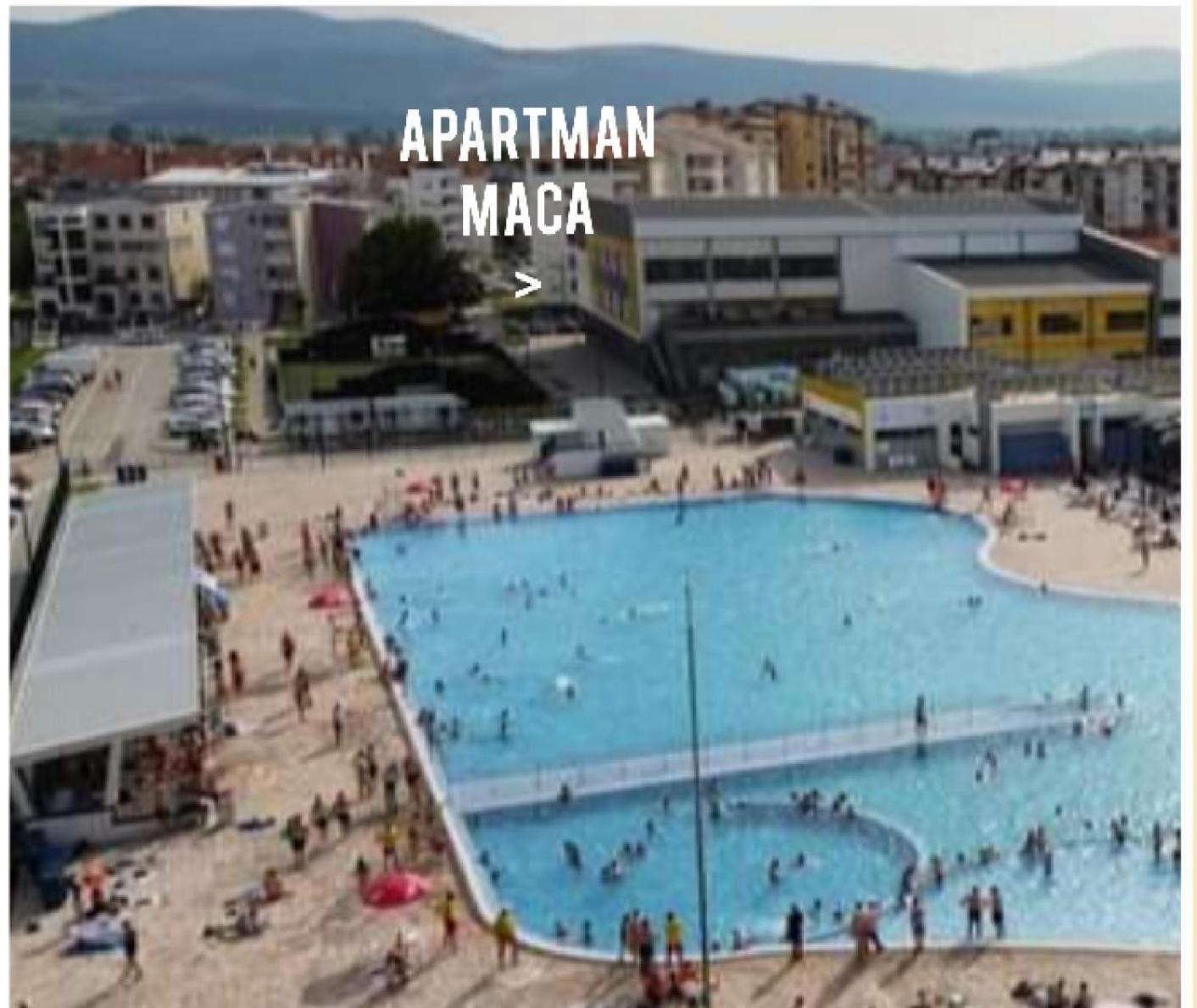 Apartman Maca Пирот Екстериор снимка